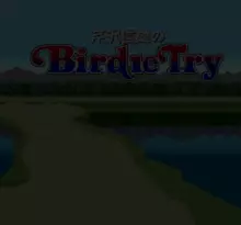 Image n° 1 - screenshots  : Serizawa Nobuo no Birdie Try